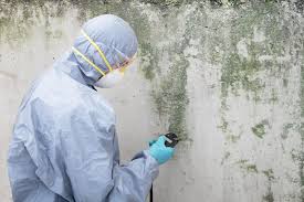 Best Forensic Mold Investigation in USA